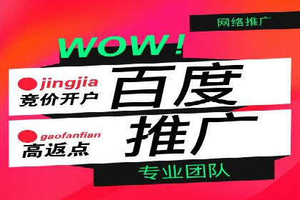 SEM精准广告投放的五大成功案例
